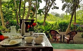 Sigiriya Palace View