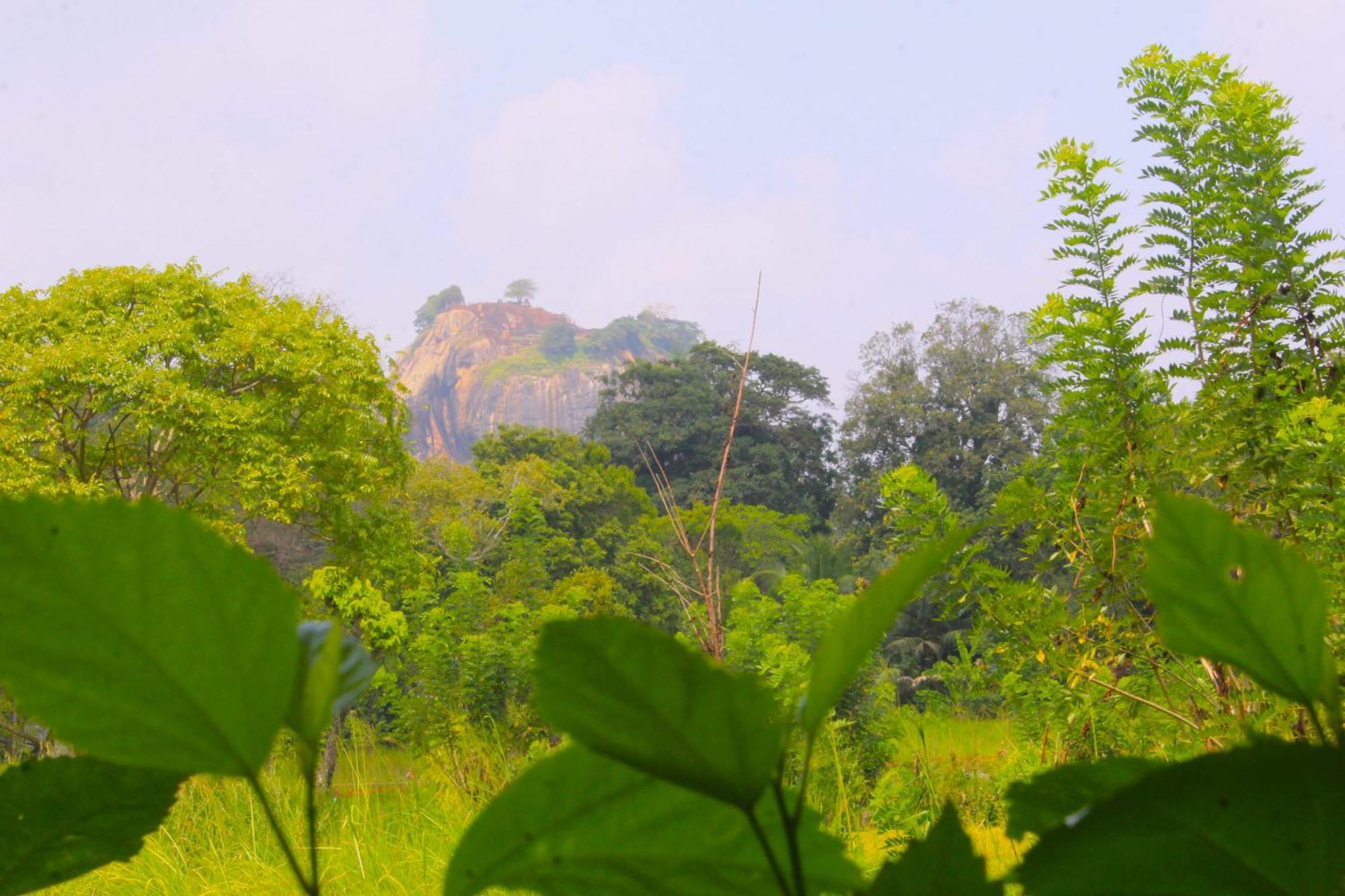 Sigiriya Palace View エクステリア 写真