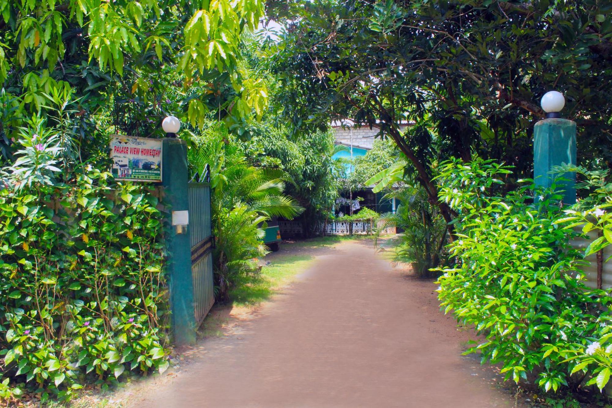 Sigiriya Palace View エクステリア 写真
